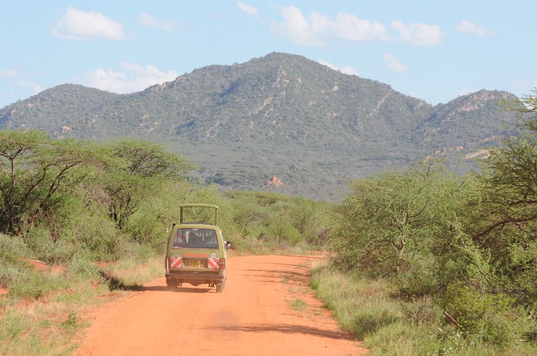 safari w buszu w Kenii