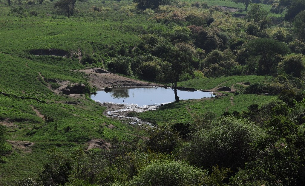 Wodopój w Kenii