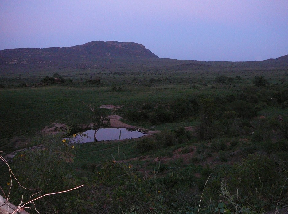 Wodopój Tsavo West