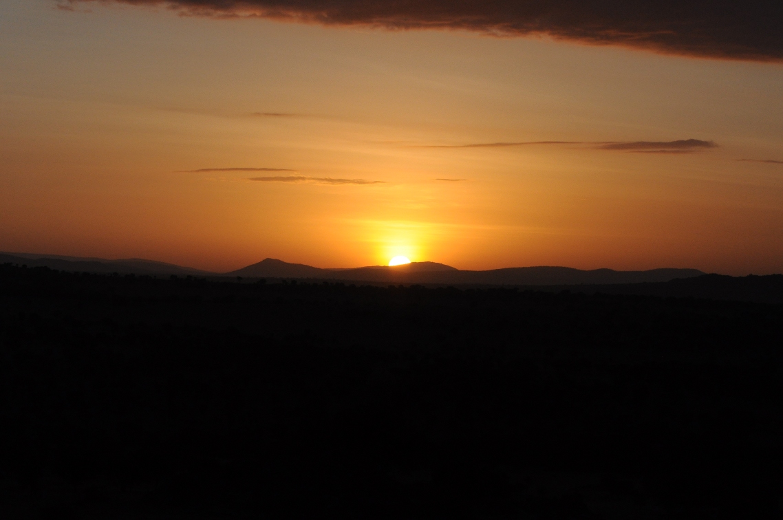 wschód słońca na Serengeti