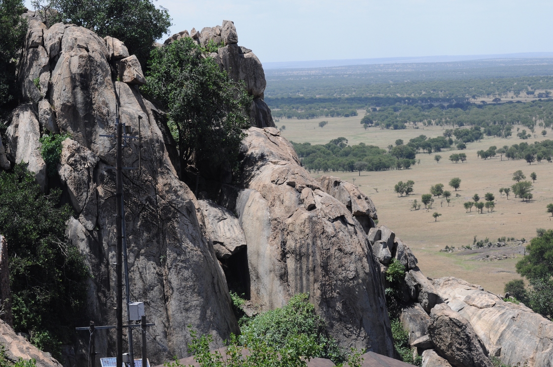 widok parku Serengeti