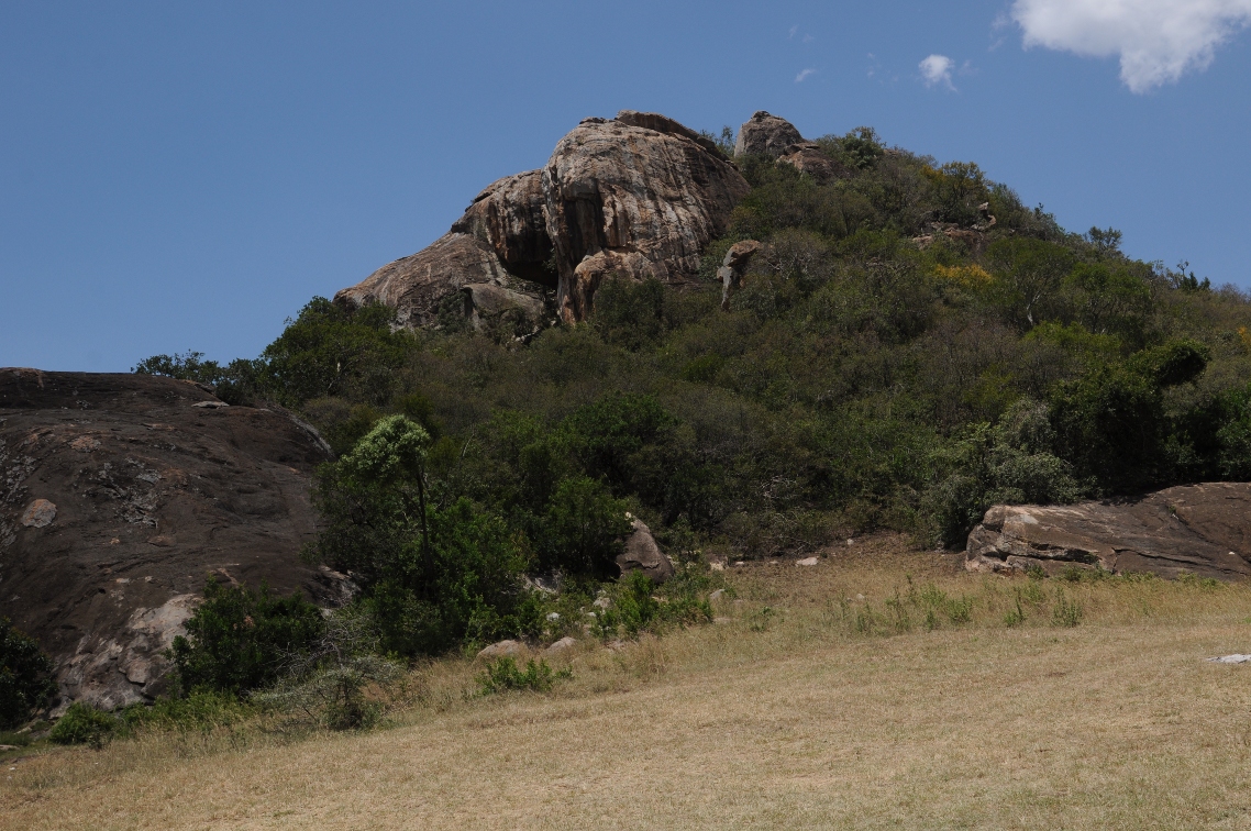 Serengeti - skały Lobo