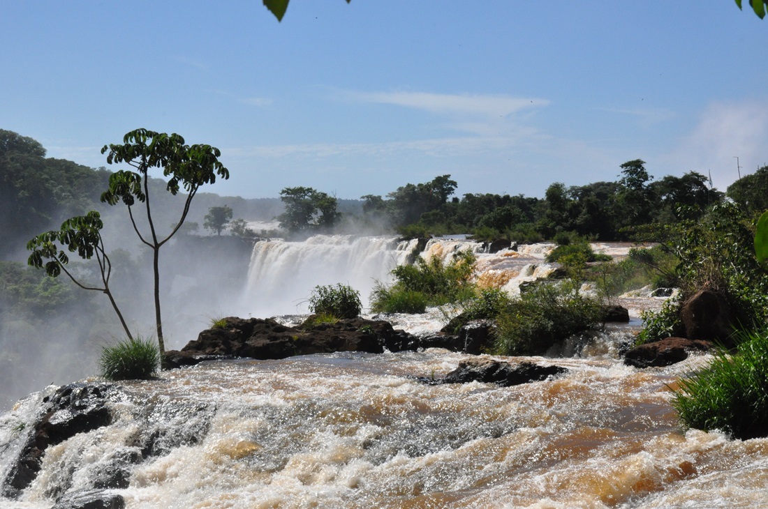 Agerntyna -  Iguazu