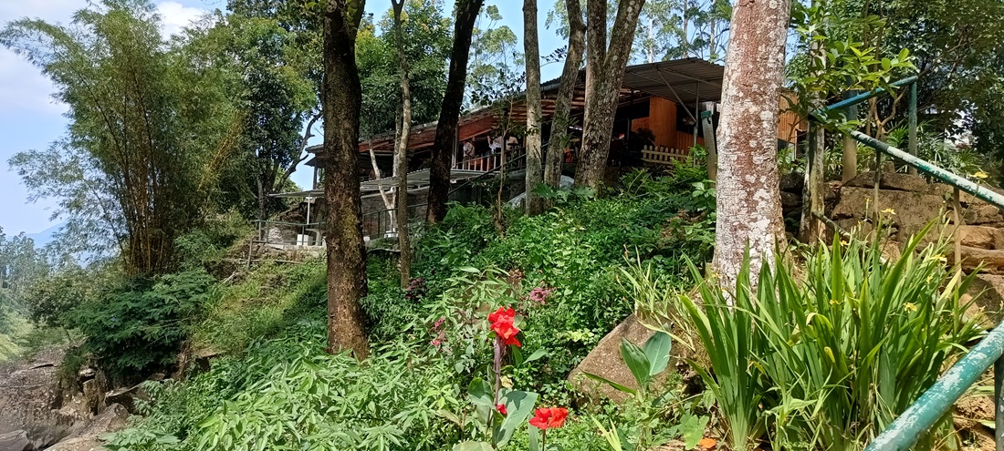 restauracja Sri Lanka