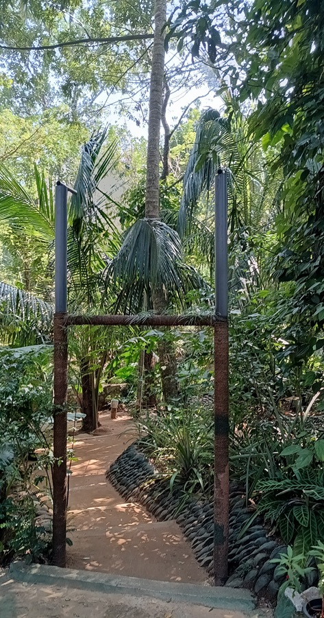 ogród botaniczny Sri Lanka