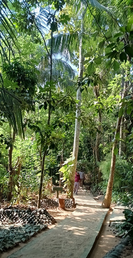 roślinność Sri LAnka