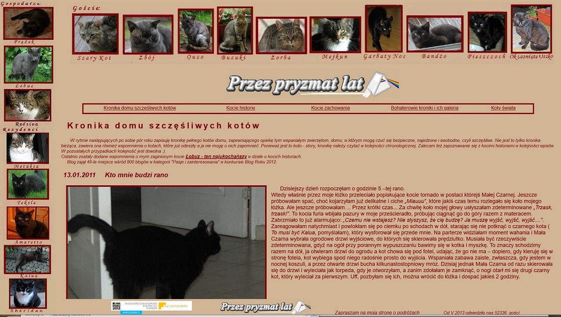 WWW o kotach