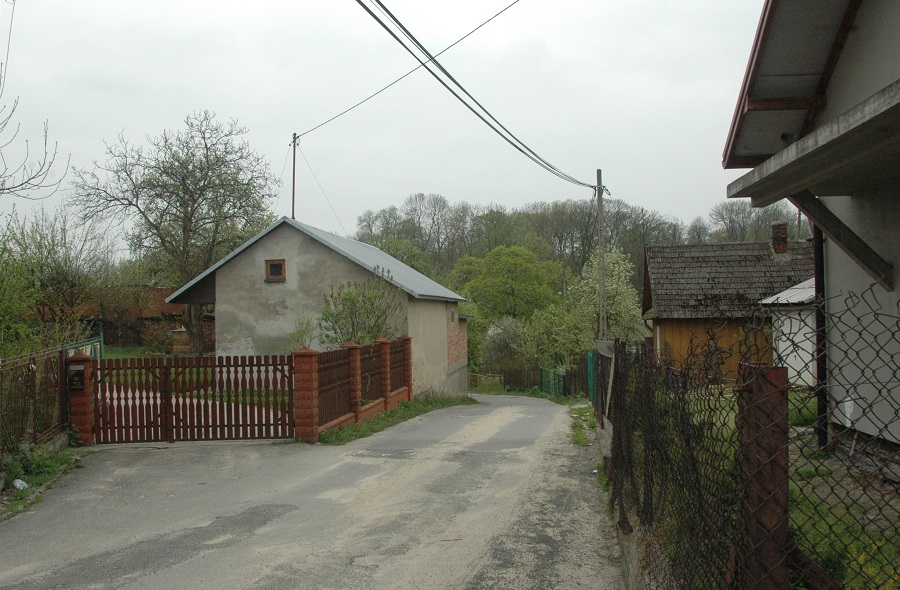 Przecław Fenedyk