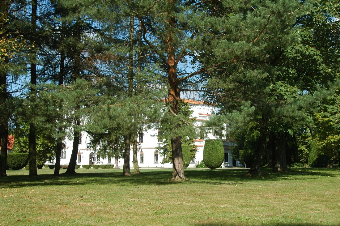 park zamkowy w Przecławiu