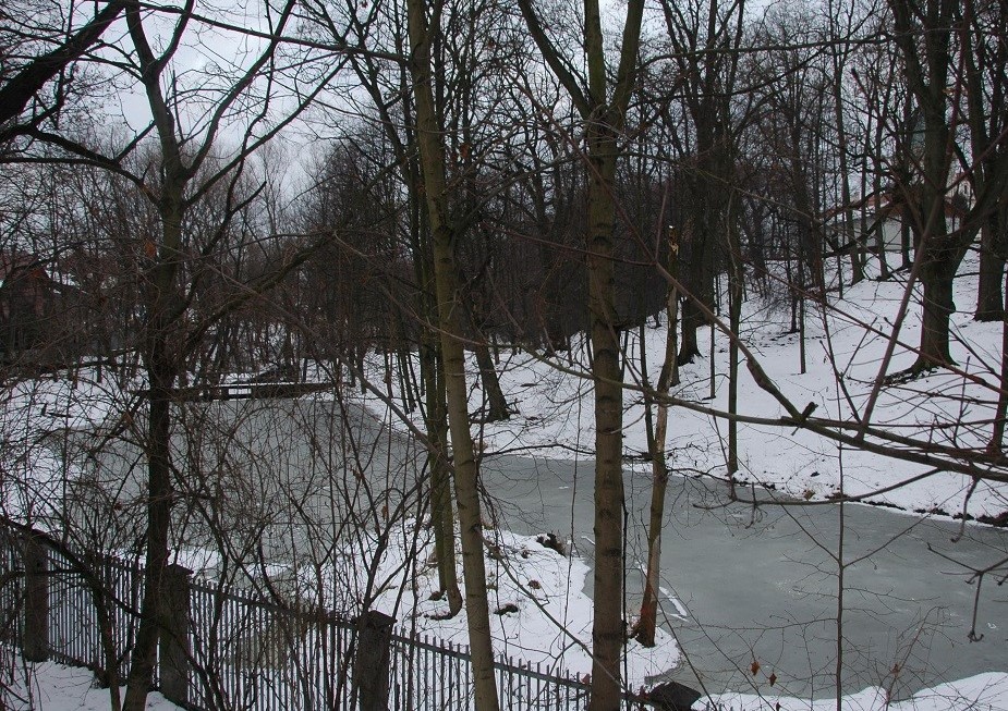 Słowik zimą