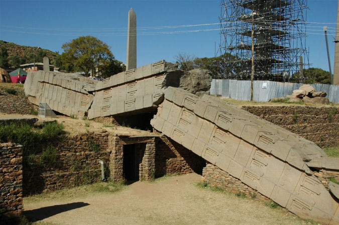 zwalona stella