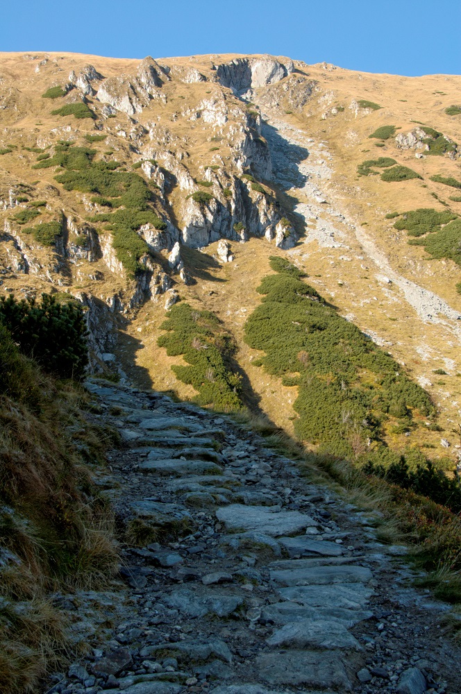 szlak zielony