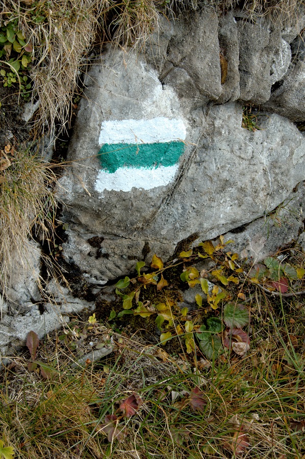 zielony szlak