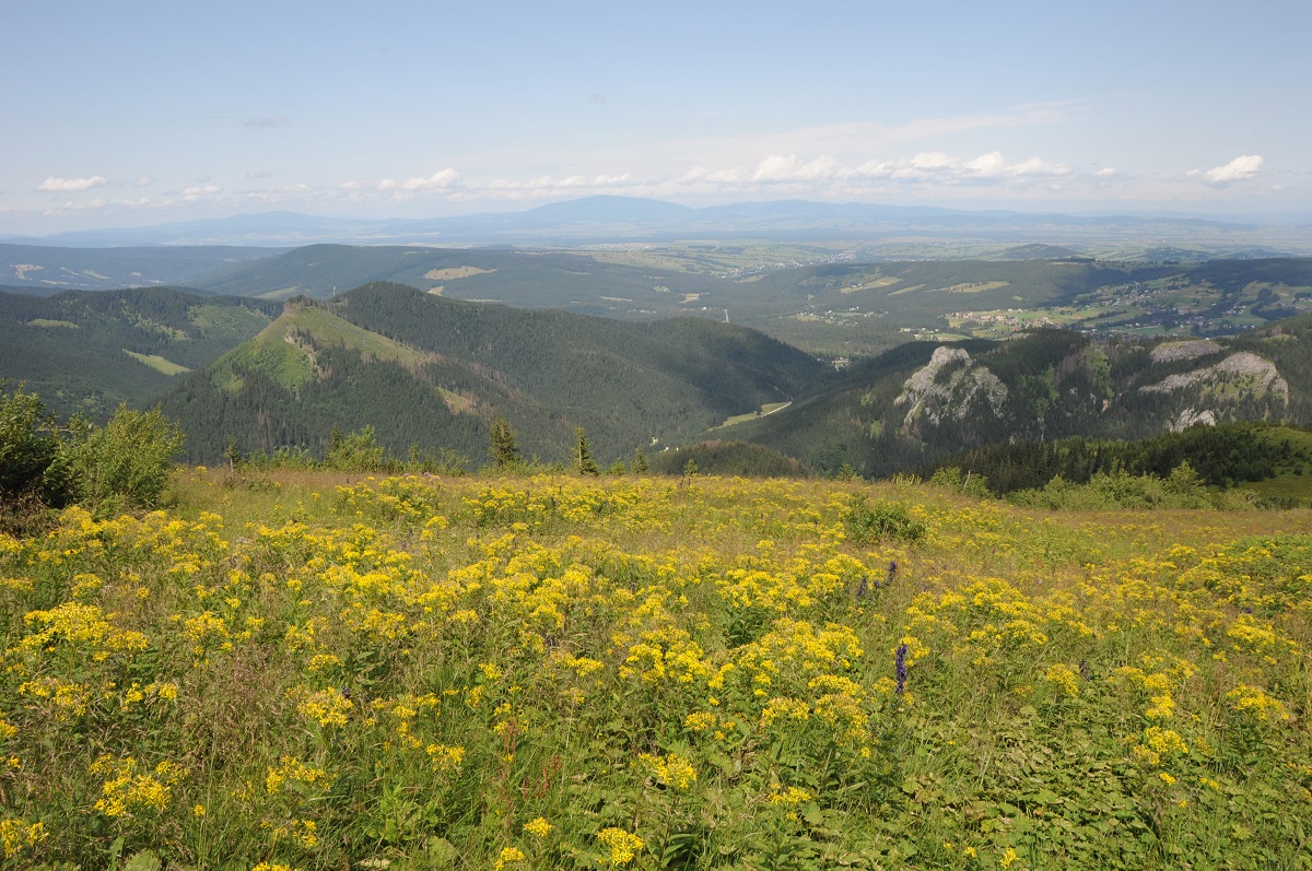 Podhale