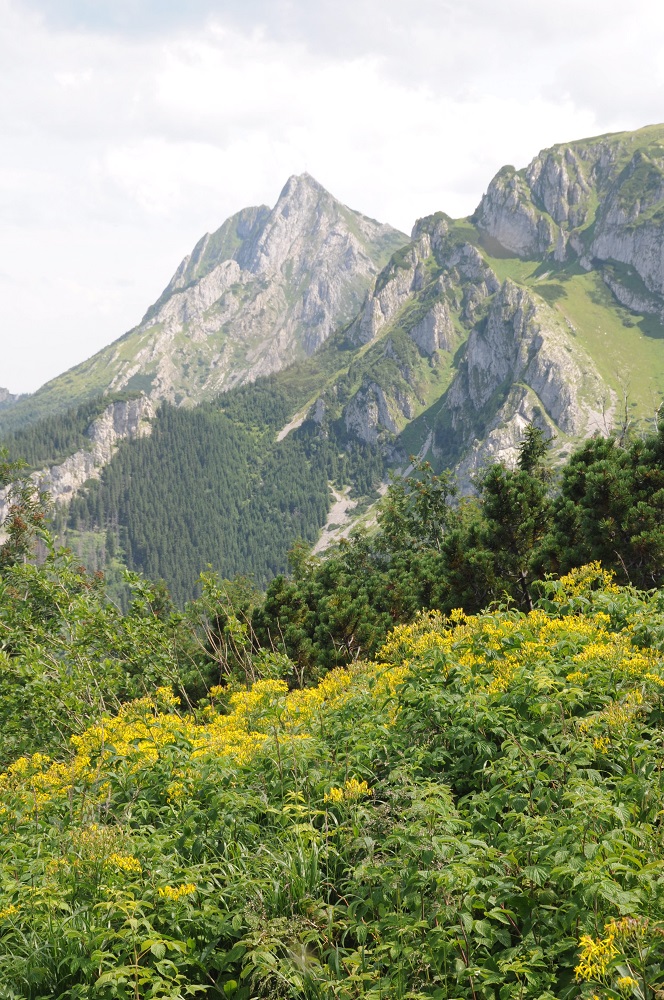Giewont