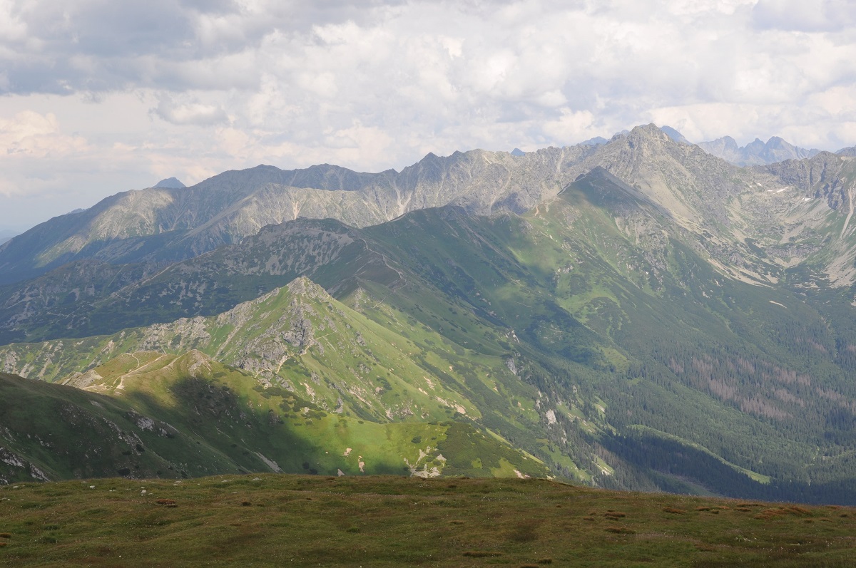 TAtry Wyskoie