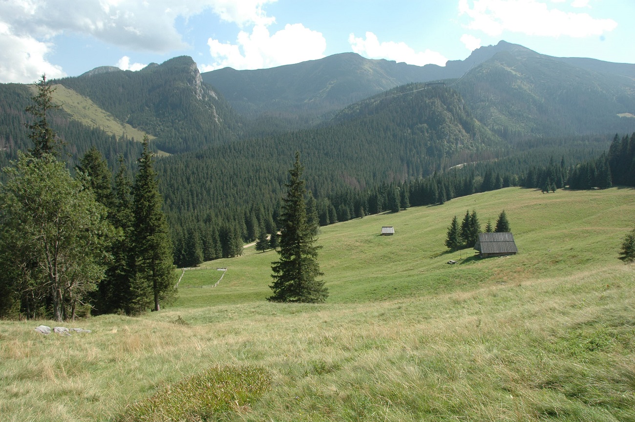 polana Kalatówkach