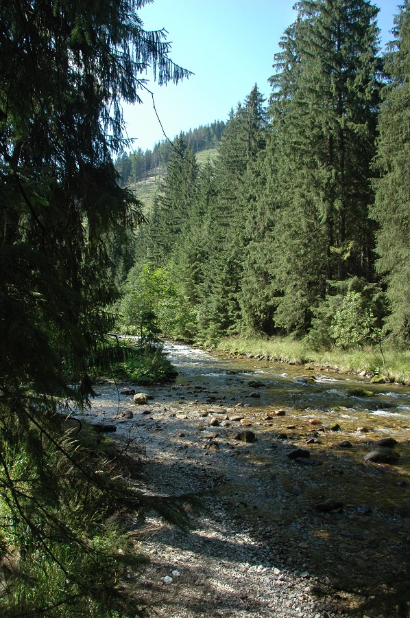 potok