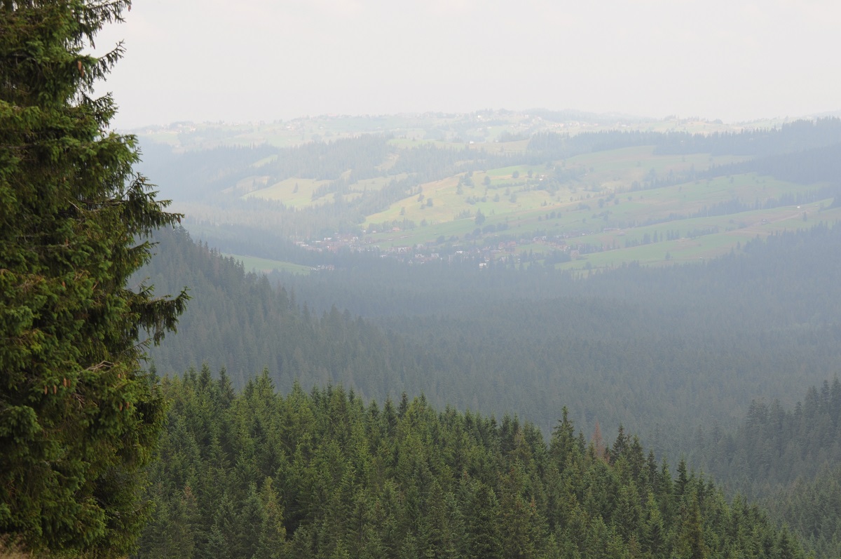 Małe Ciche