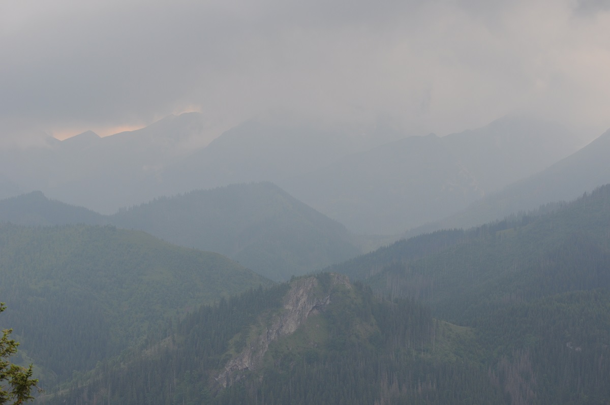 widok z szyi