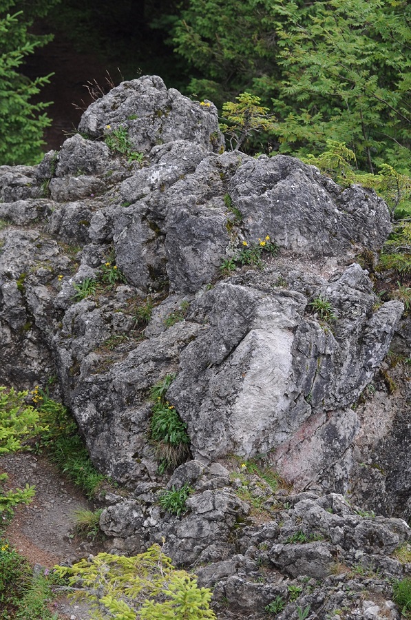 dolomitowa skała