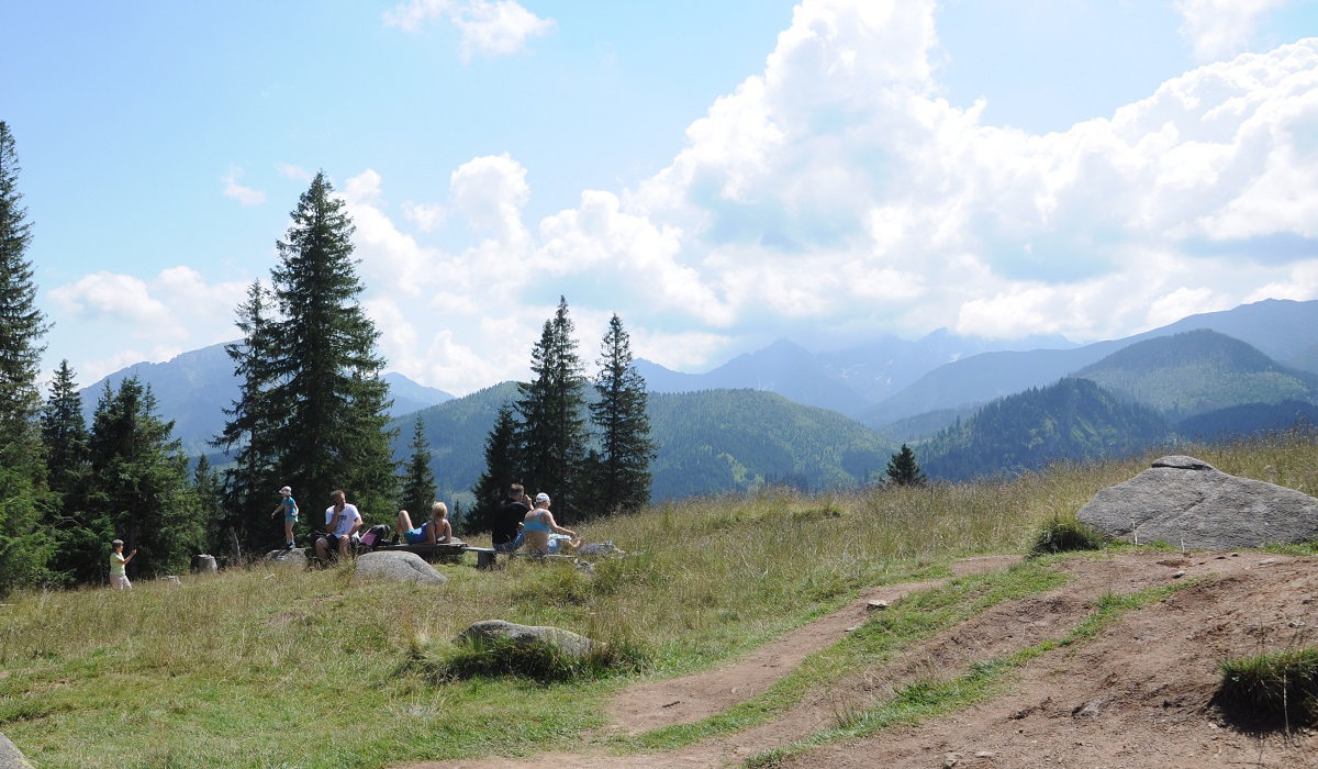 widok z Rusinowej Polany