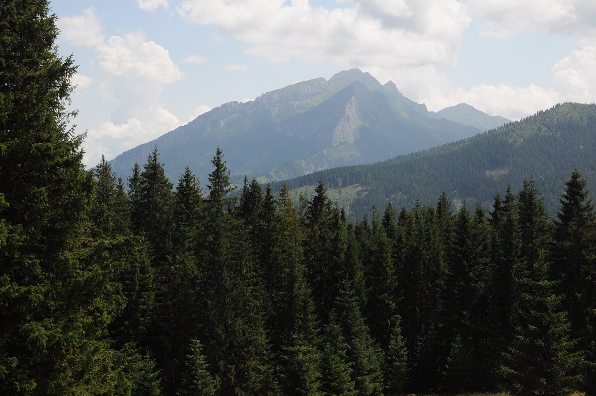  Tatr Wyskoich