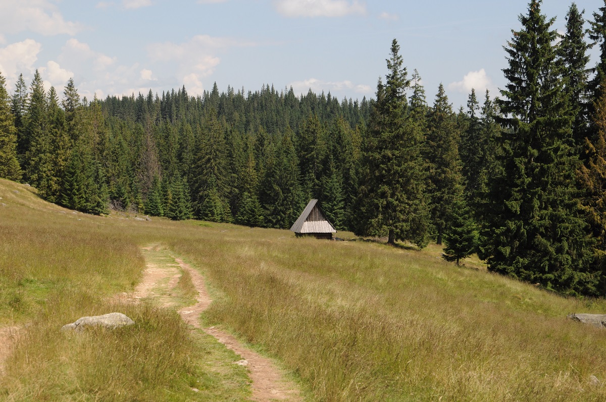 Rusinowa Polana