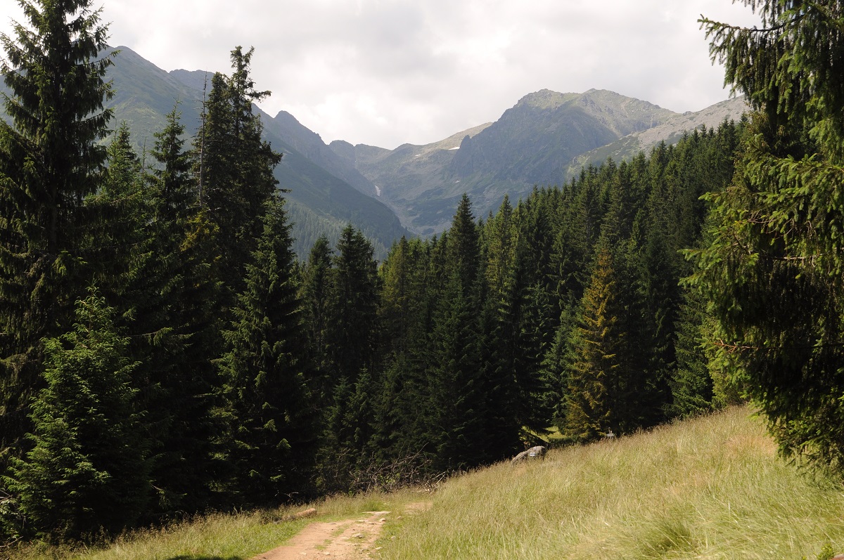 panorama Tatr