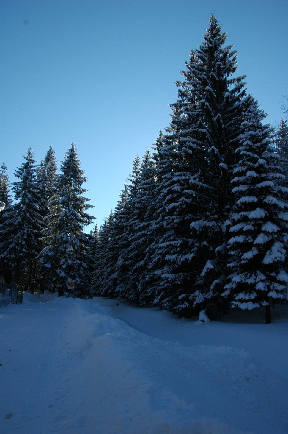 Kuźnice