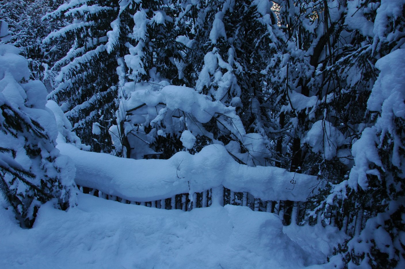 śnieg