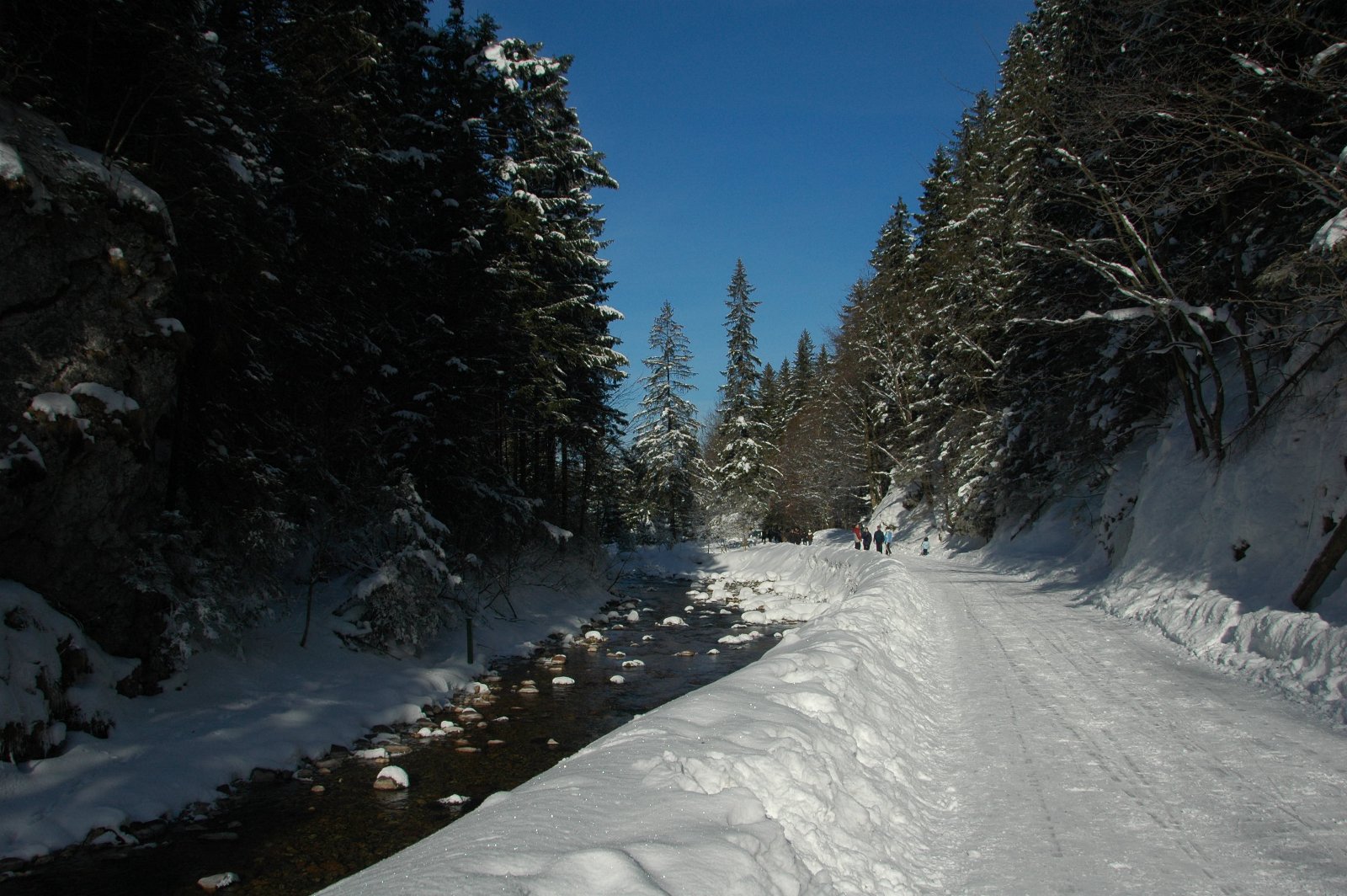 Potok Koscieliski