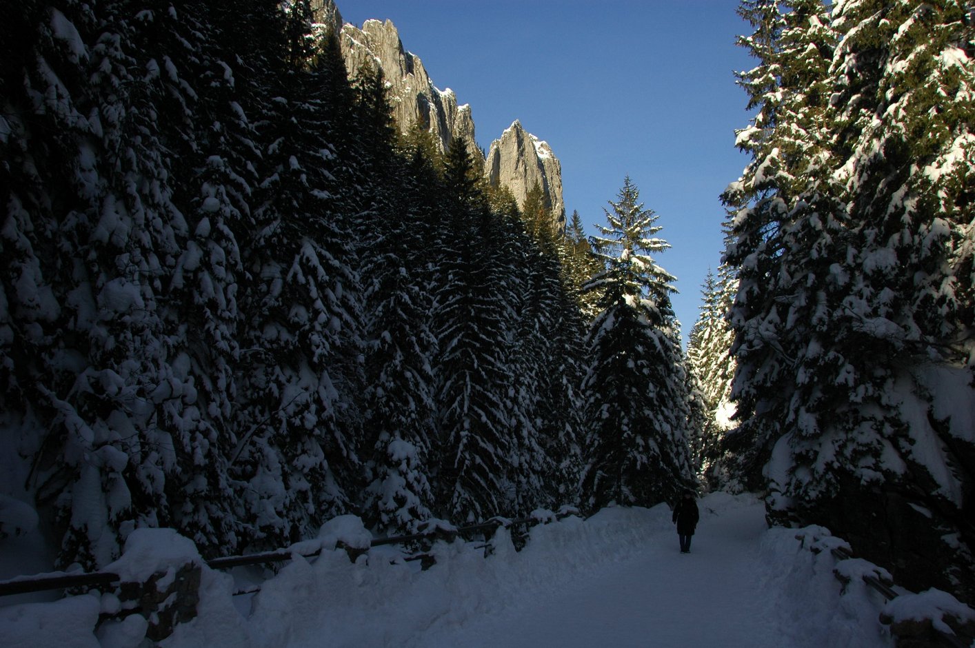 skały