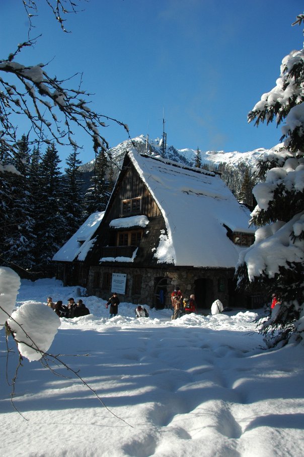 schronisko