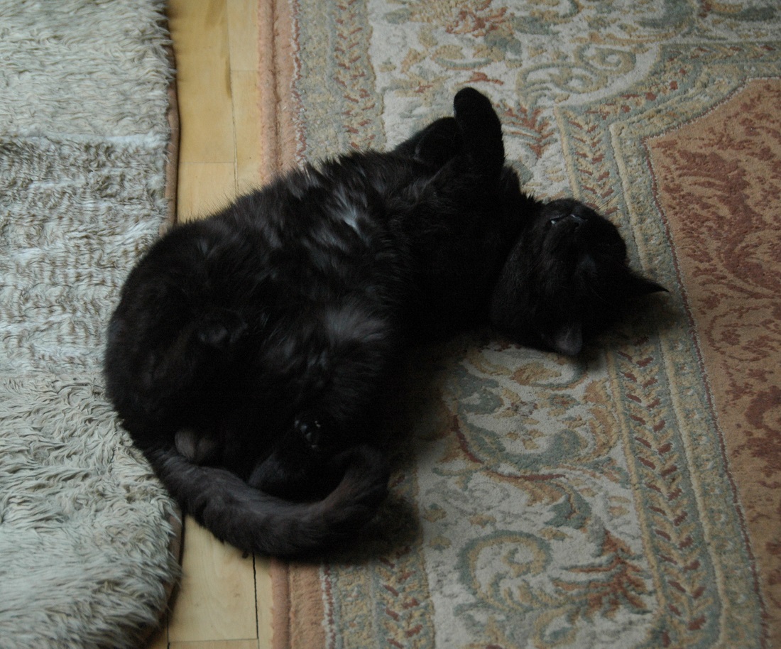 Amaretto