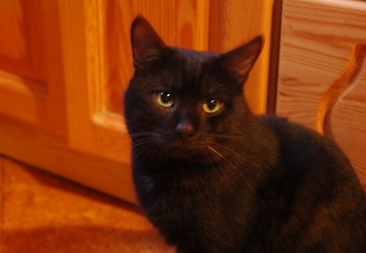 Amaretto