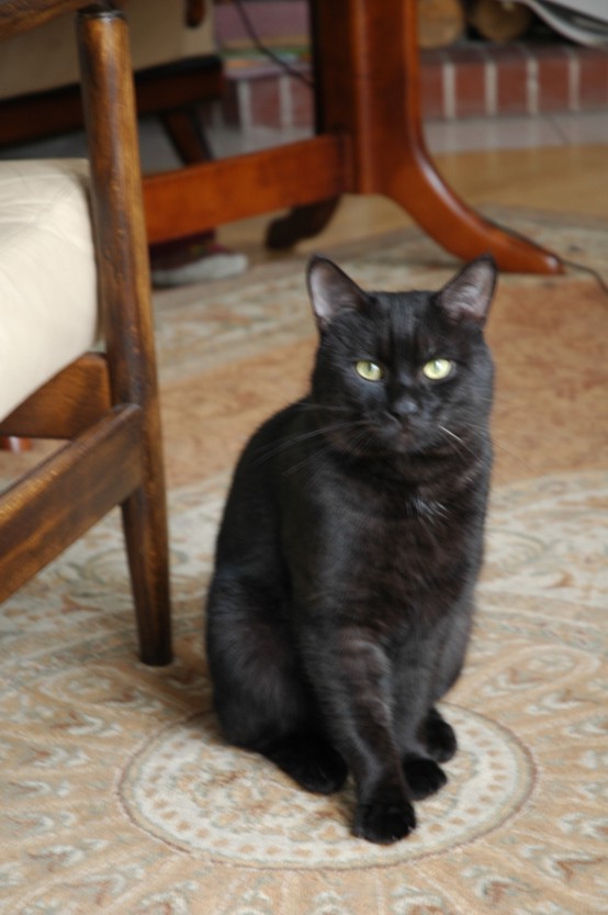 Amaretto