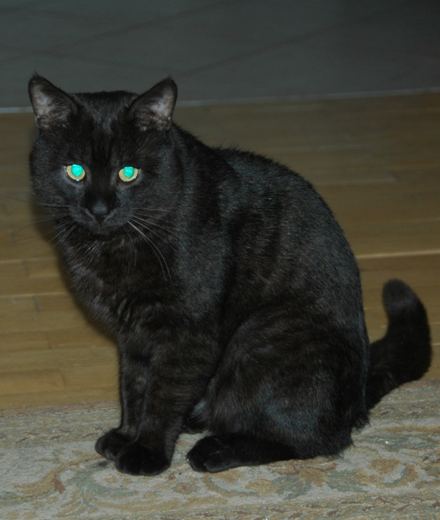 Amaretto