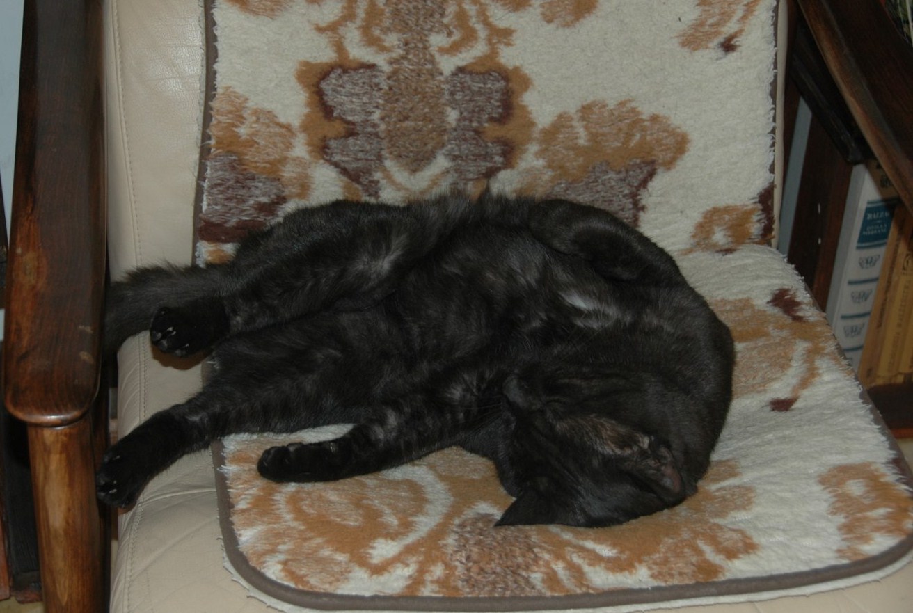 Amaretto
