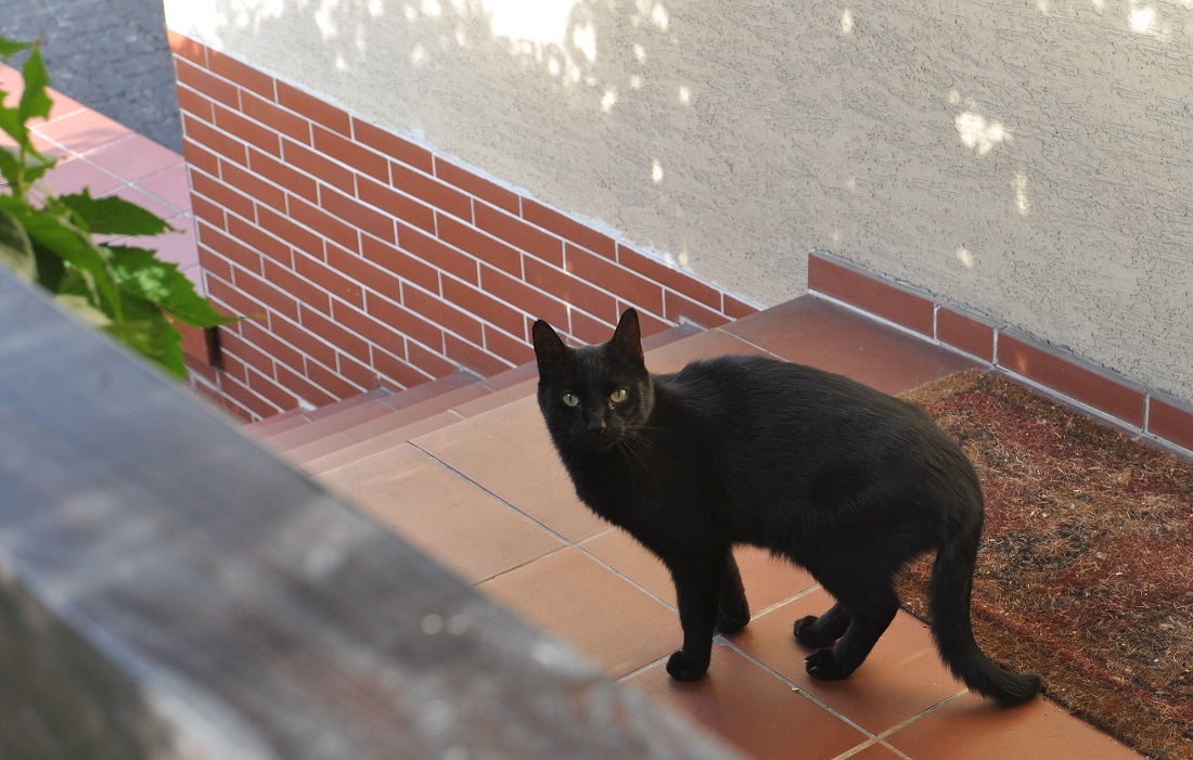 Garbaty Nos