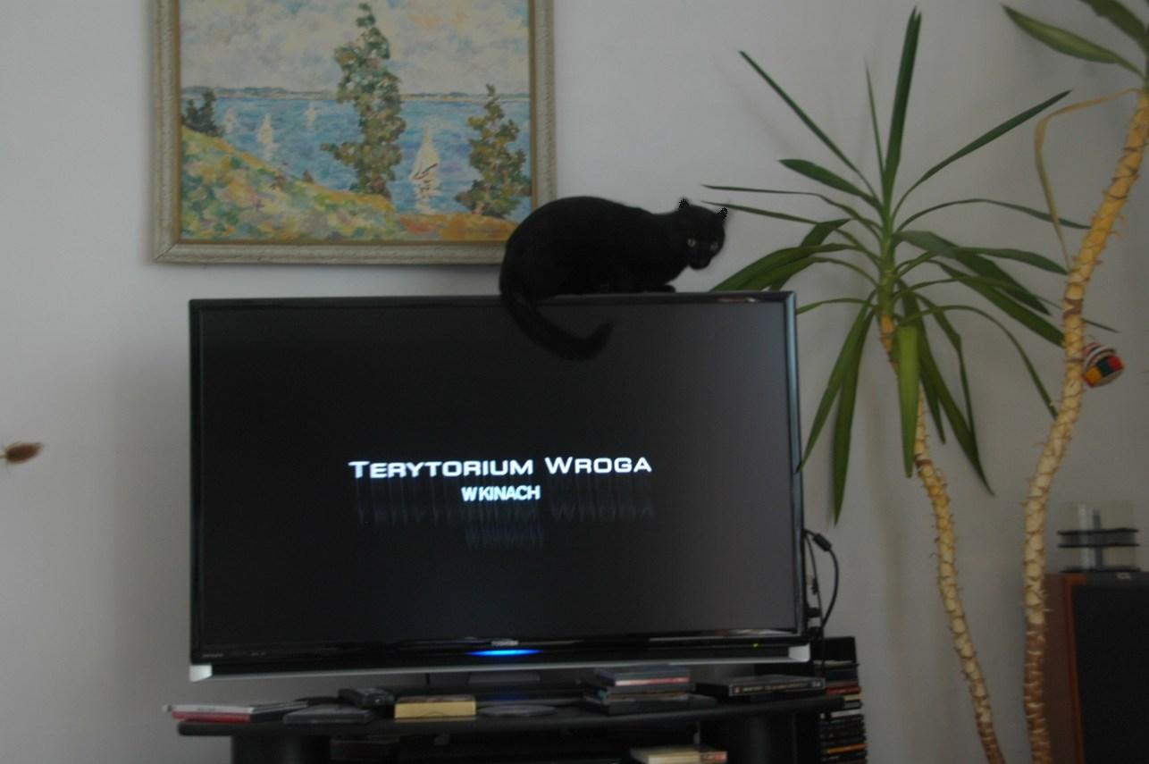 Garbaty Nos na telewizorze