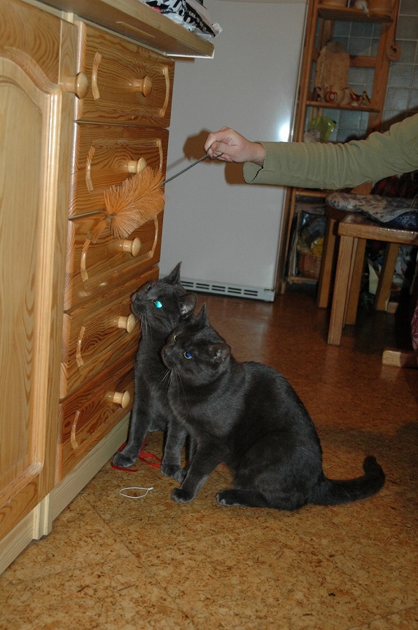zabawa w szafie