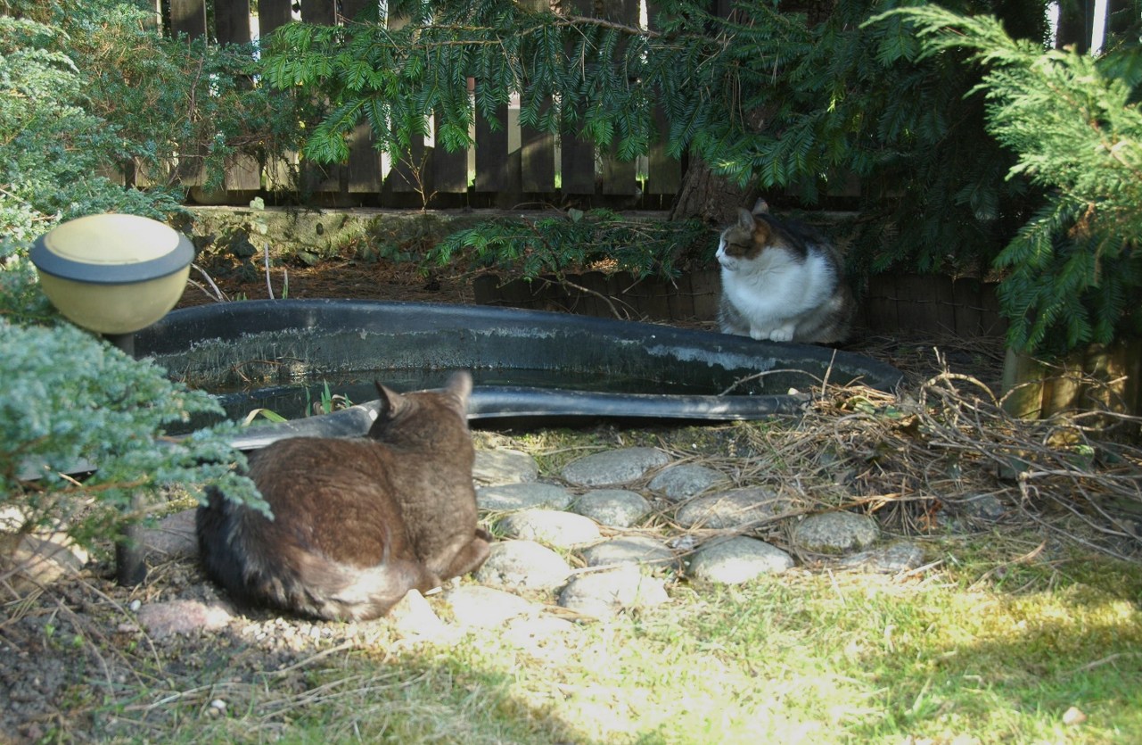 relaks