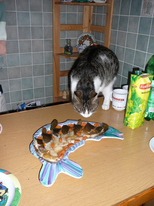 Metaksa węszy