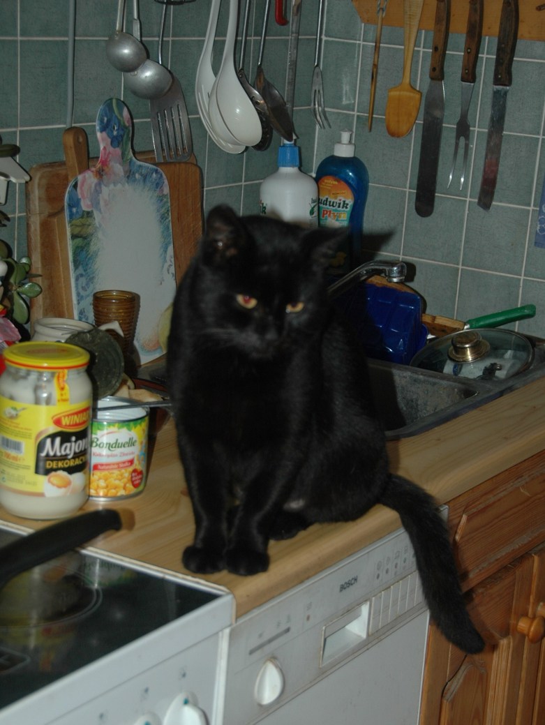 Pieszczoch