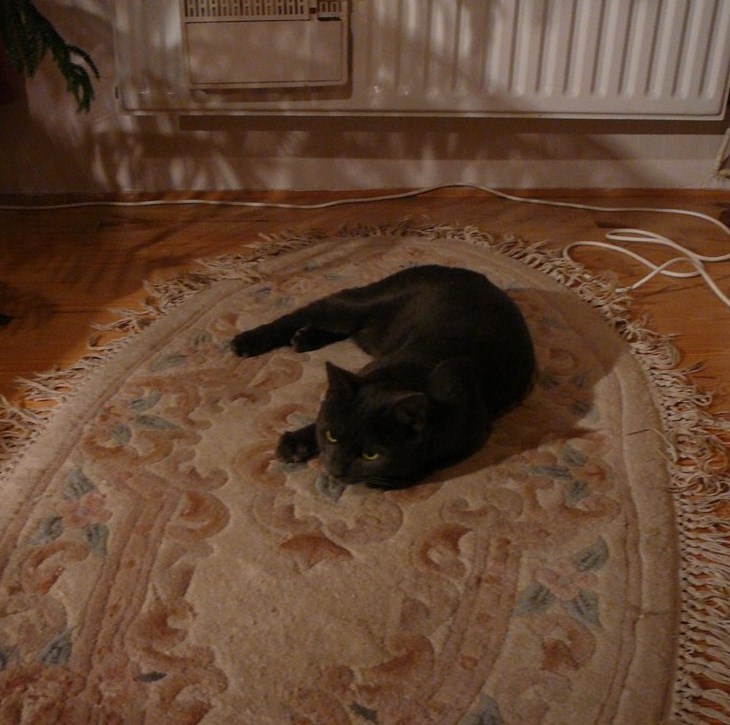 Prążek