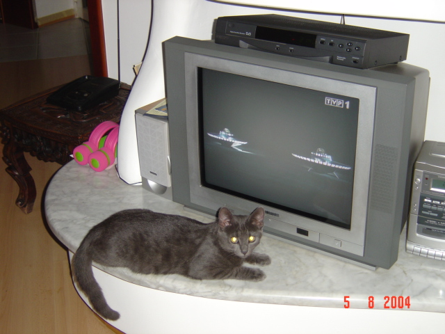 Prążek przed telewizorem