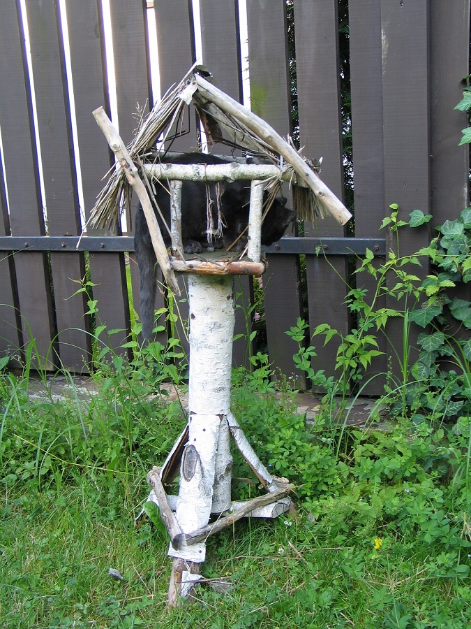 Prążek w budce