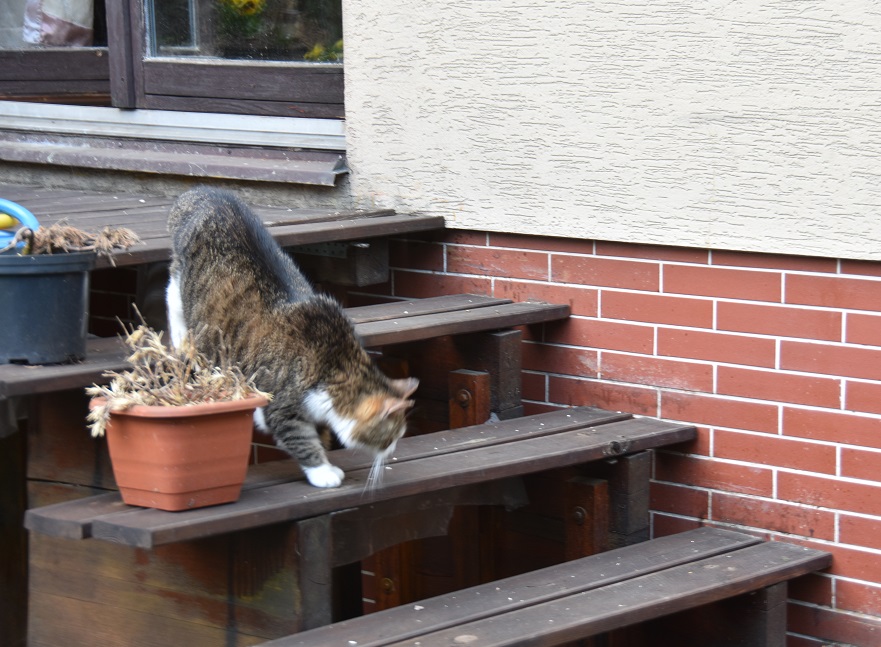 na schodach