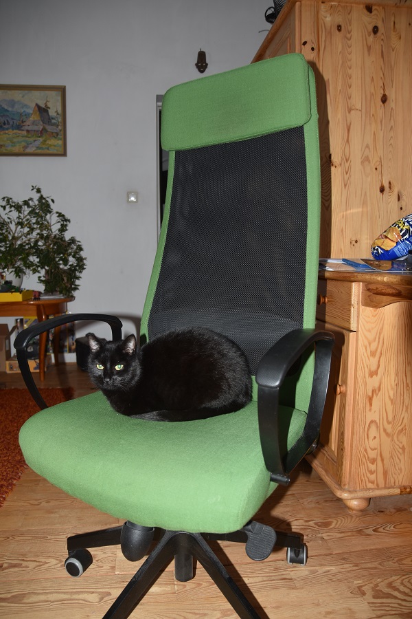 Tekila na krześle